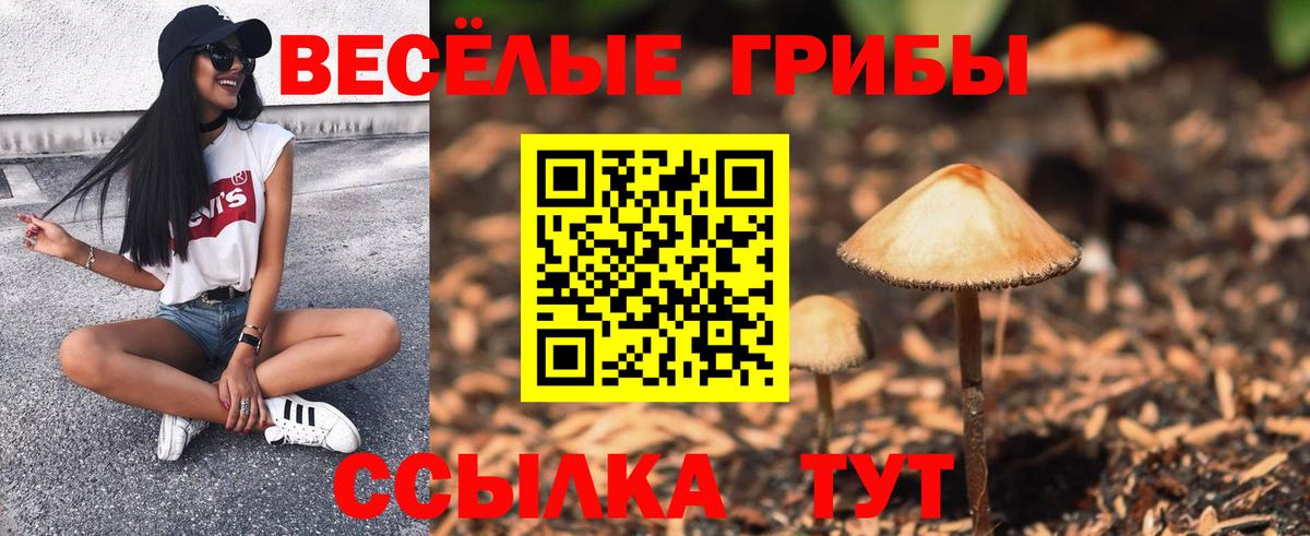 где купить наркотик  Вход с VPN  Донецк  Галлюциногенные грибы мухоморы 