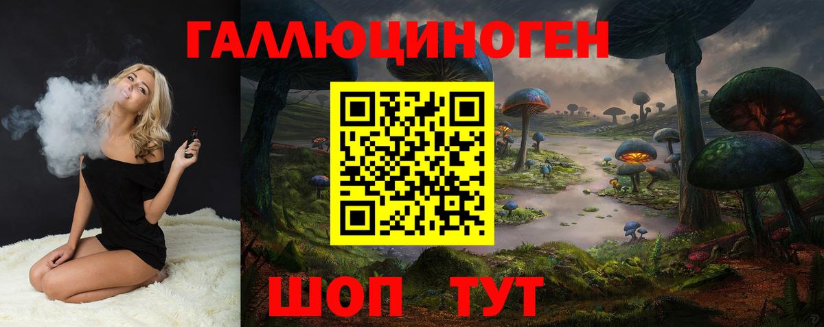 Галлюциногенные грибы Psilocybe Донецк