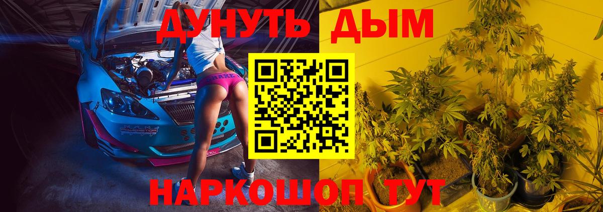 Конопля Bruce Banner  Марихуана гибрид  Бошки Шишки семена  Вход с VPN  Донецк 